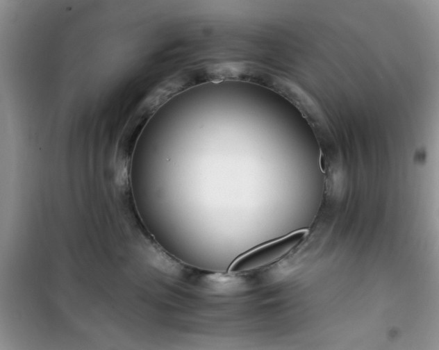 X0000100950477200807081222