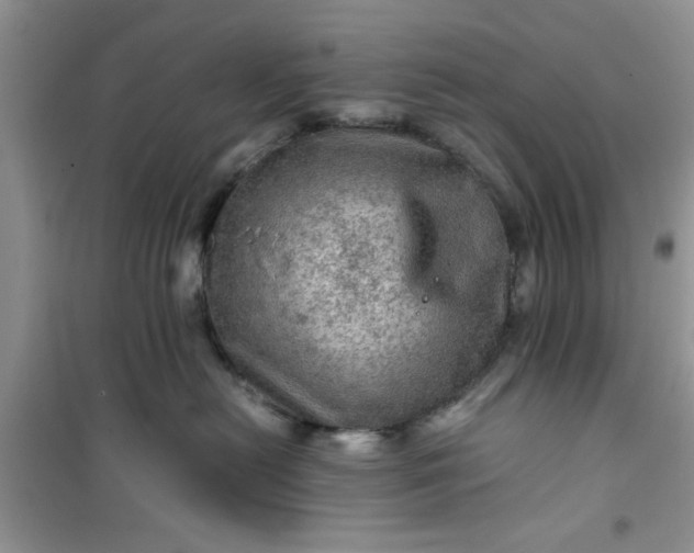 X0000100950478200807081222