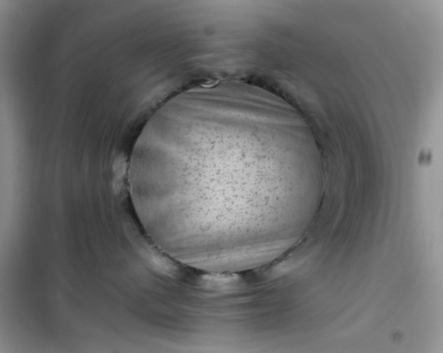 X0000100950480200807081222