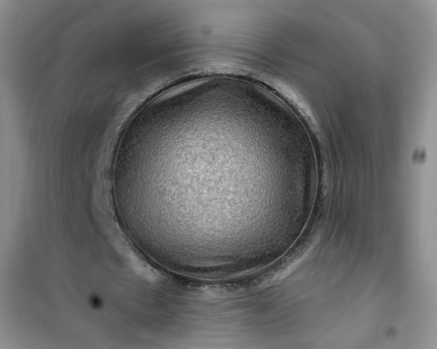 X0000100950481200807081222