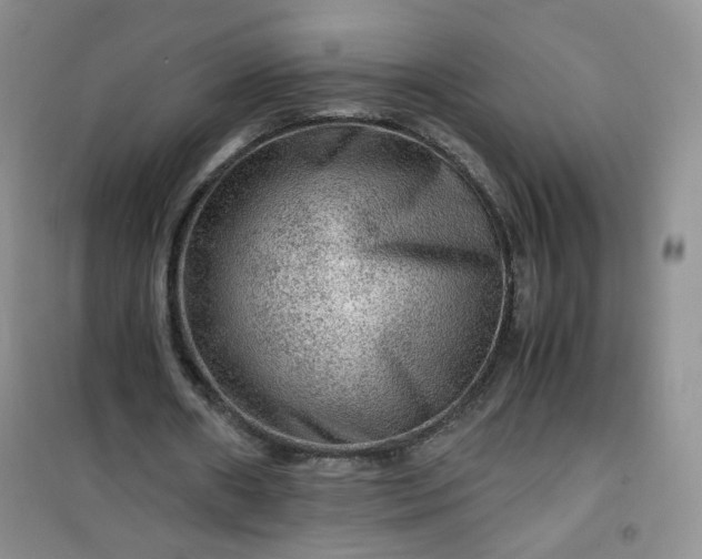 X0000100950482200807081222