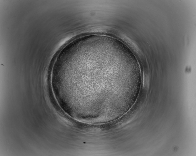 X0000100950483200807081222