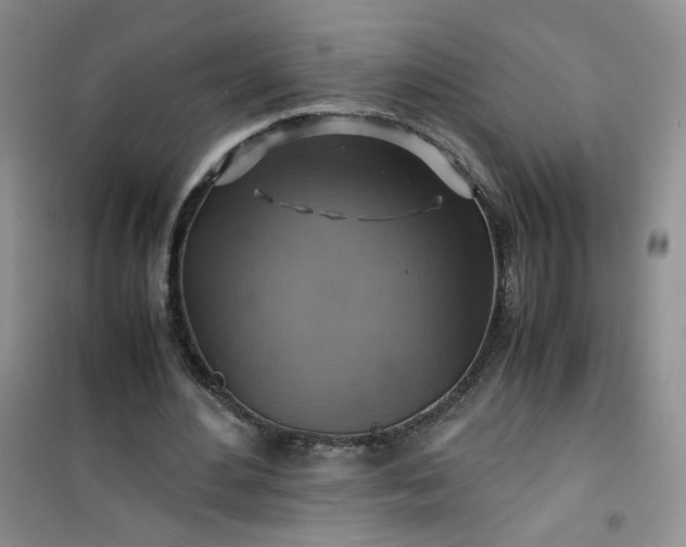 X0000100950484200807081222