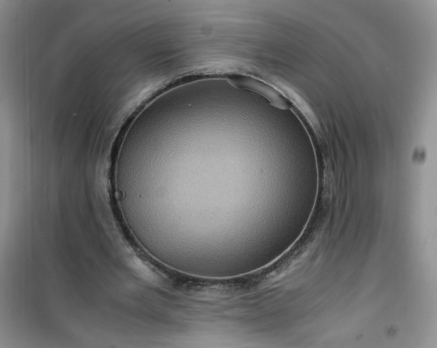 X0000100950485200807081222