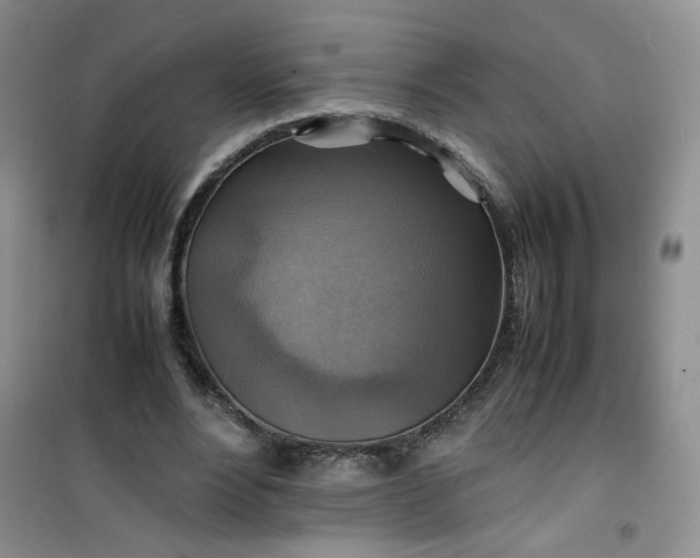 X0000100950488200807081222