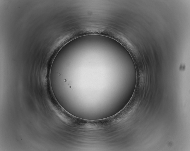 X0000100950490200807081222