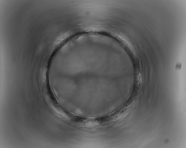 X0000100950491200807081221