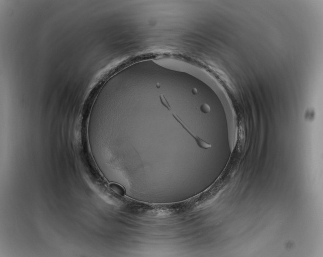 X0000100950492200807081221