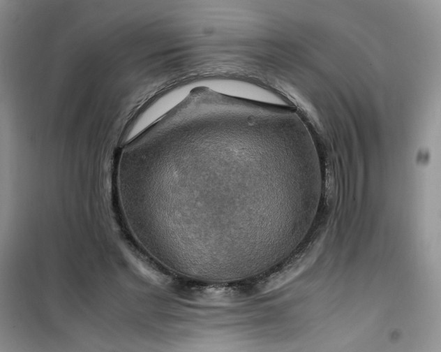 X0000100950493200807081221