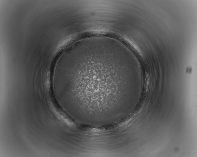 X0000100950494200807081221