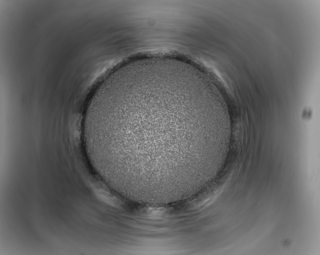 X0000100950495200807081221