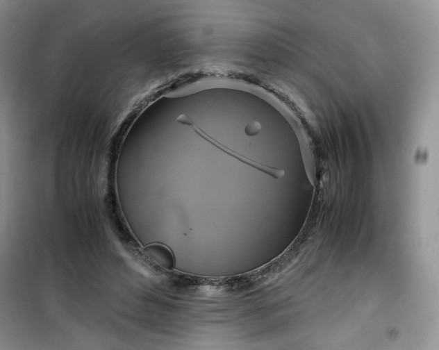 X0000100950496200807081221