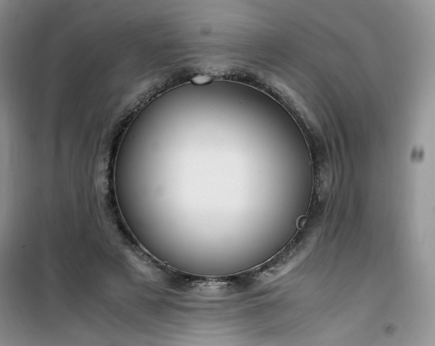 X0000100950497200807081221