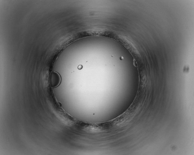 X0000100950498200807081221