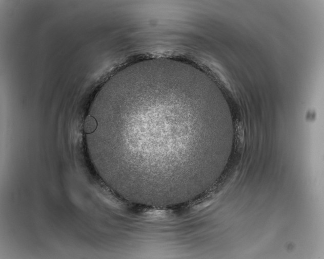 X0000100950499200807081221