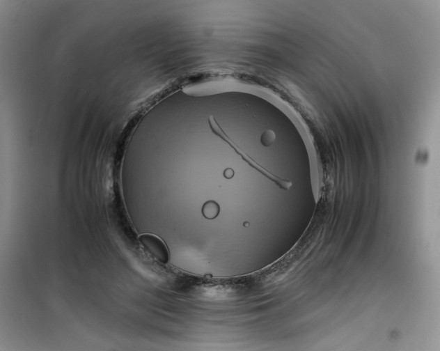 X0000100950500200807081221