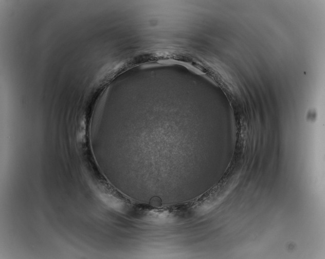 X0000100950502200807081221