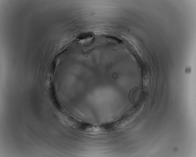 X0000100950503200807081221