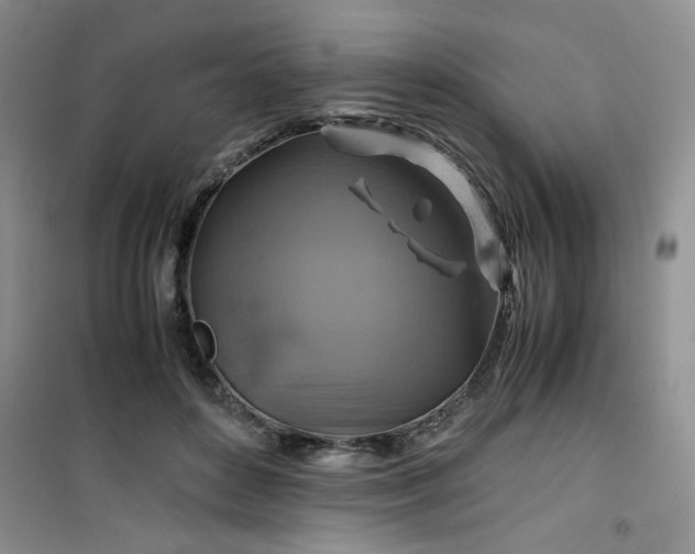 X0000100950504200807081221