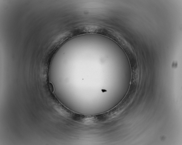 X0000100950505200807081221