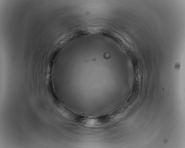 X0000100950507200807081221