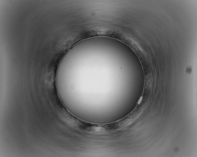 X0000100950509200807081221