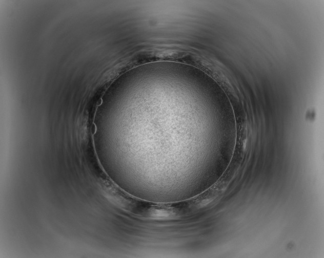 X0000100950510200807081221