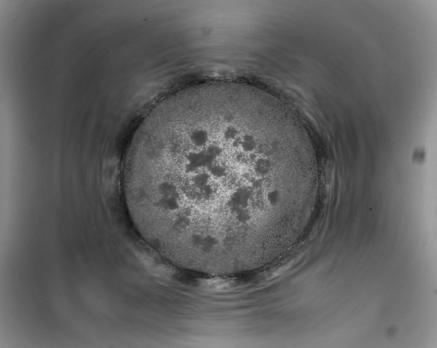 X0000100950511200807081221