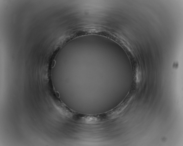 X0000100950512200807081221