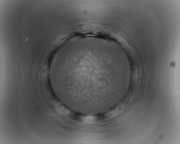 X0000100950513200807081221