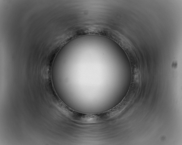 X0000100950514200807081221