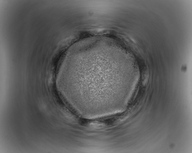 X0000100950515200807081221