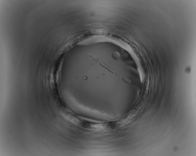 X0000100950516200807081221