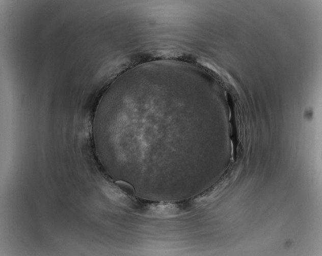 X0000100950517200807081221