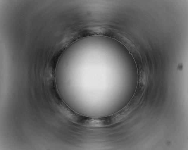 X0000100950518200807081221