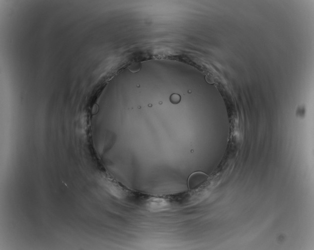 X0000100950519200807081221