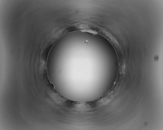 X0000100950521200807081221