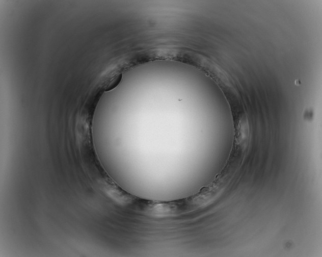 X0000100950522200807081221