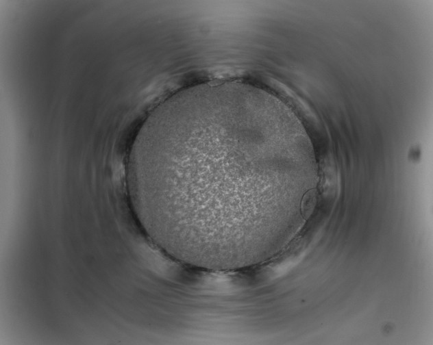 X0000100950523200807081221