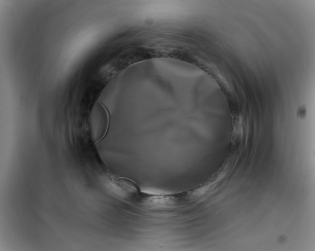 X0000100950526200807081221