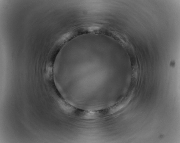 X0000100950527200807081221