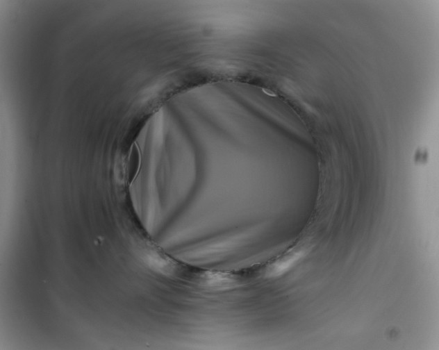 X0000100950528200807081221