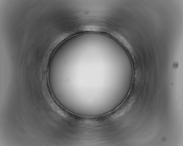 X0000100950529200807081220