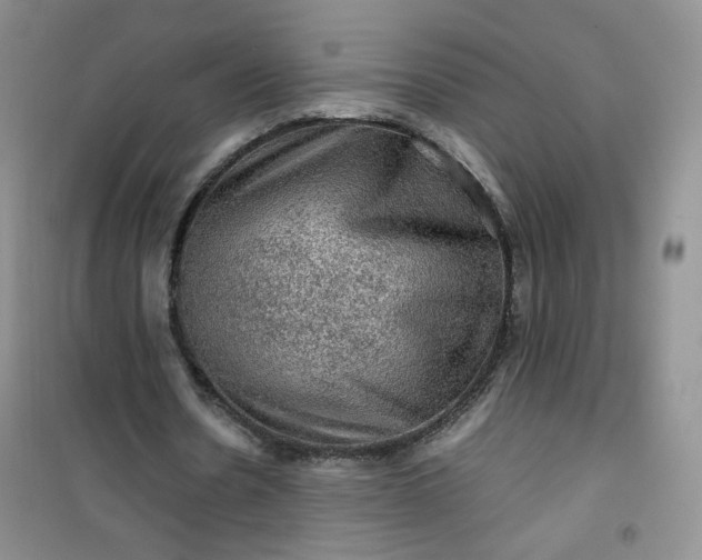 X0000100950530200807081220