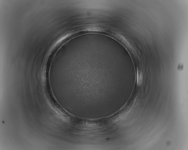 X0000100950531200807081220