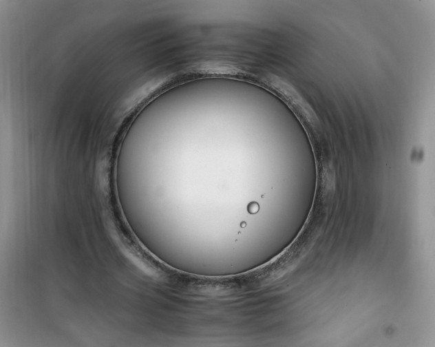 X0000100950533200807081220