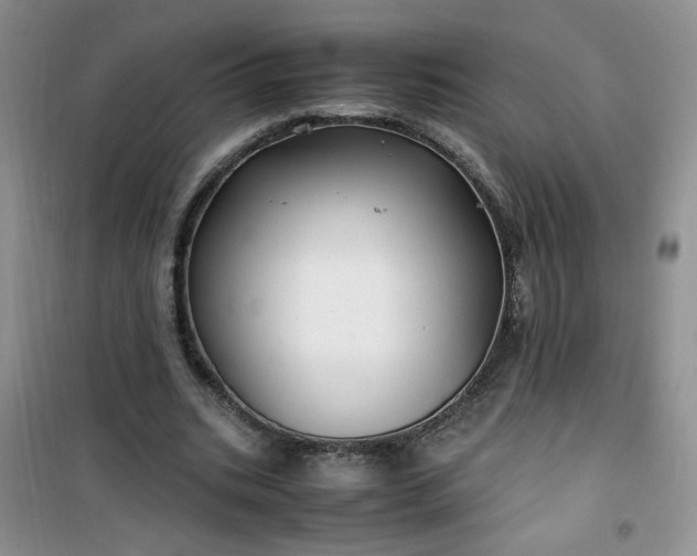 X0000100950535200807081220