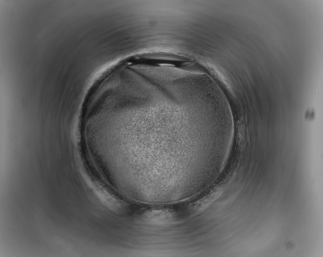 X0000100950536200807081220