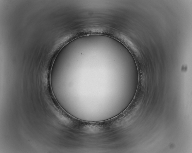 X0000100950537200807081220