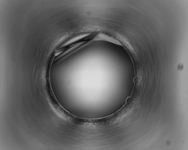 X0000100950538200807081220